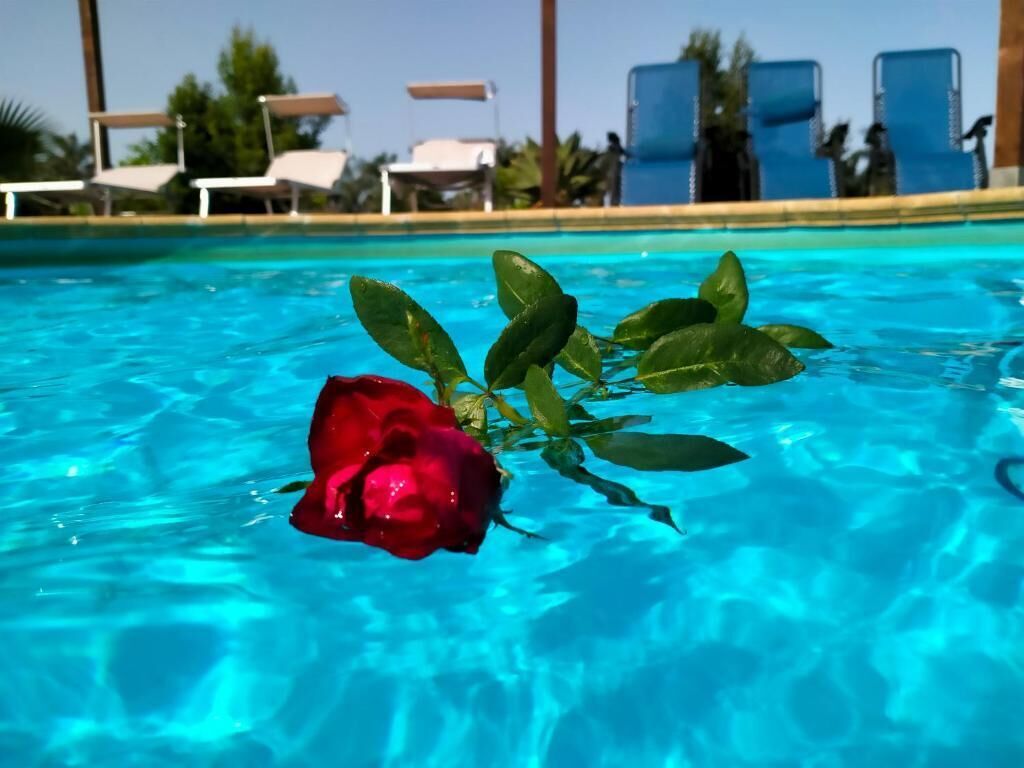 Villa Laura Apartment