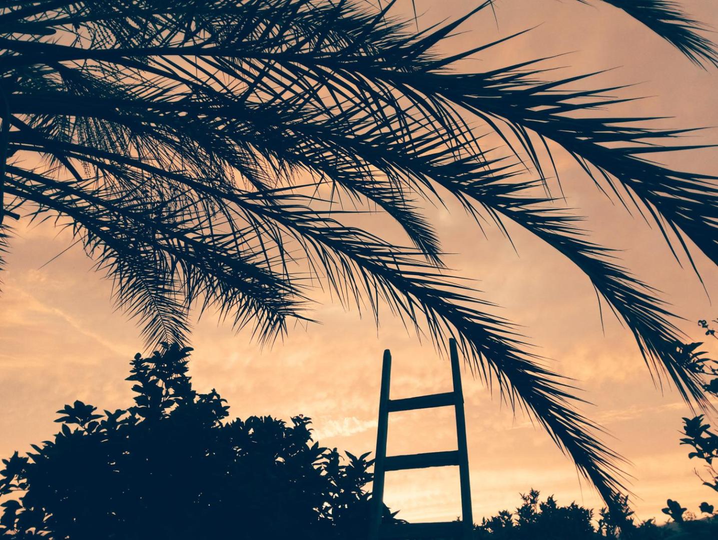 Villa Laura Apartment