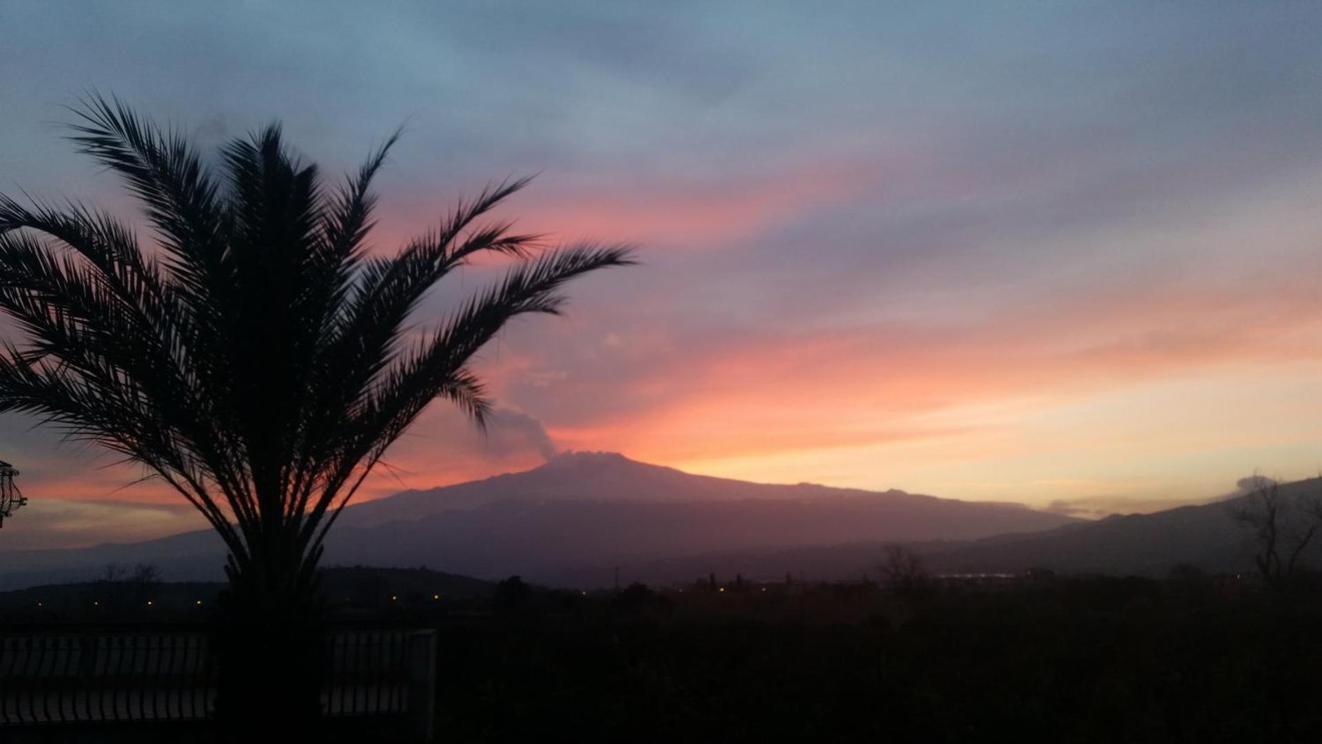 Villa Laura Apartment