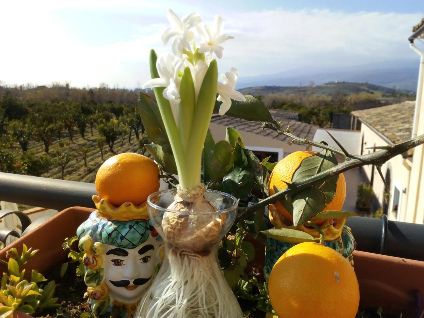 Villa Laura Apartment