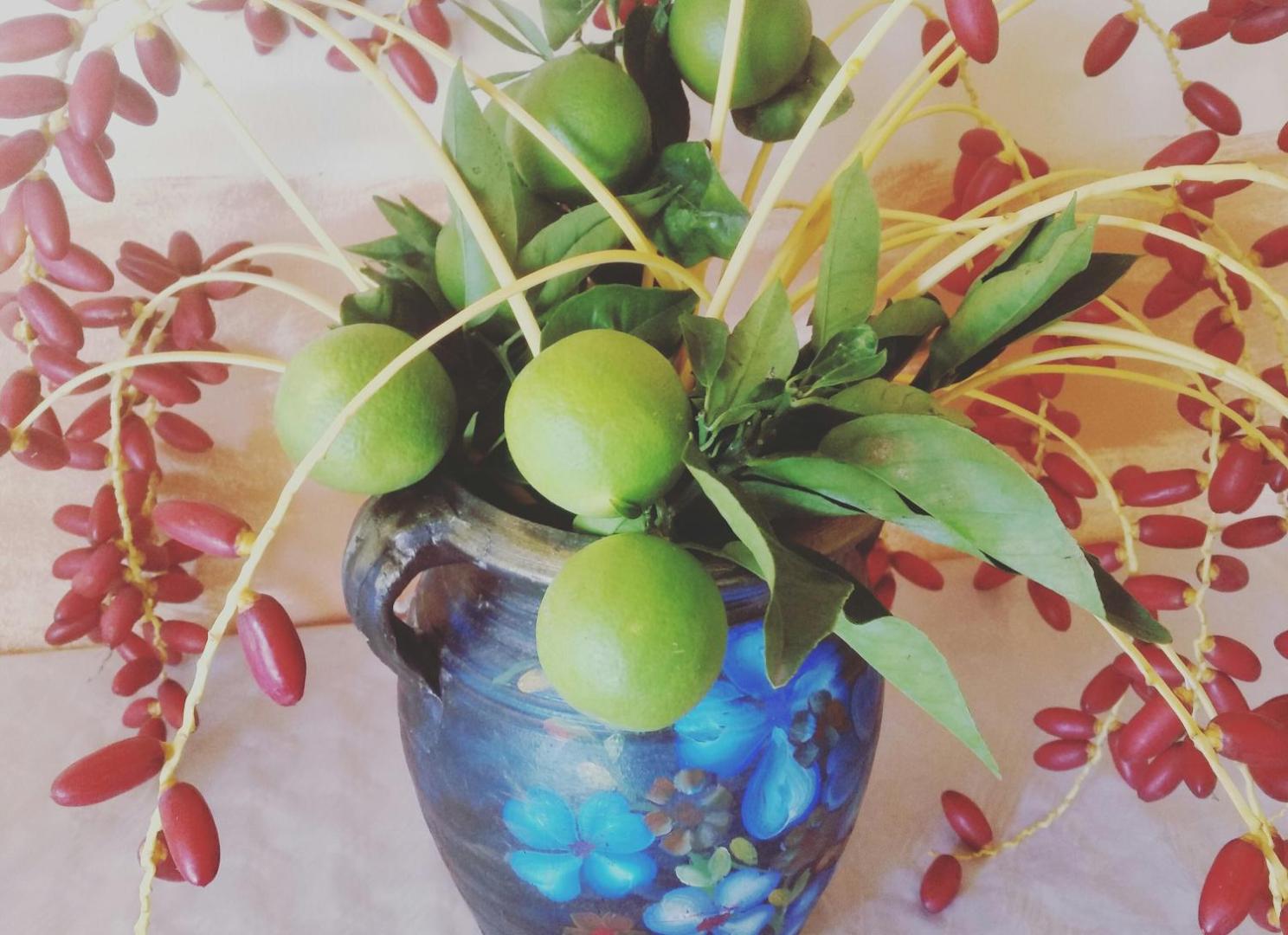 Villa Laura Apartment