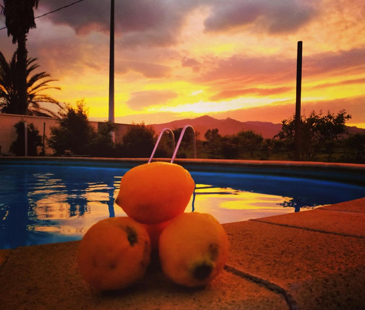 Villa Laura Apartment