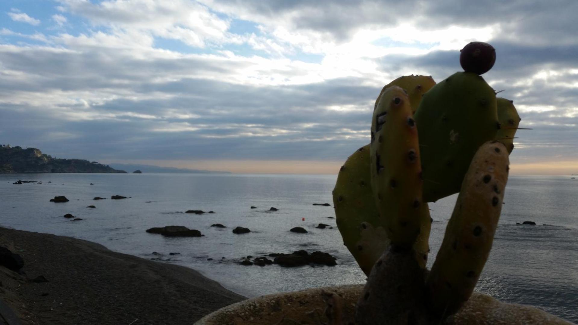 Villa Laura Apartment