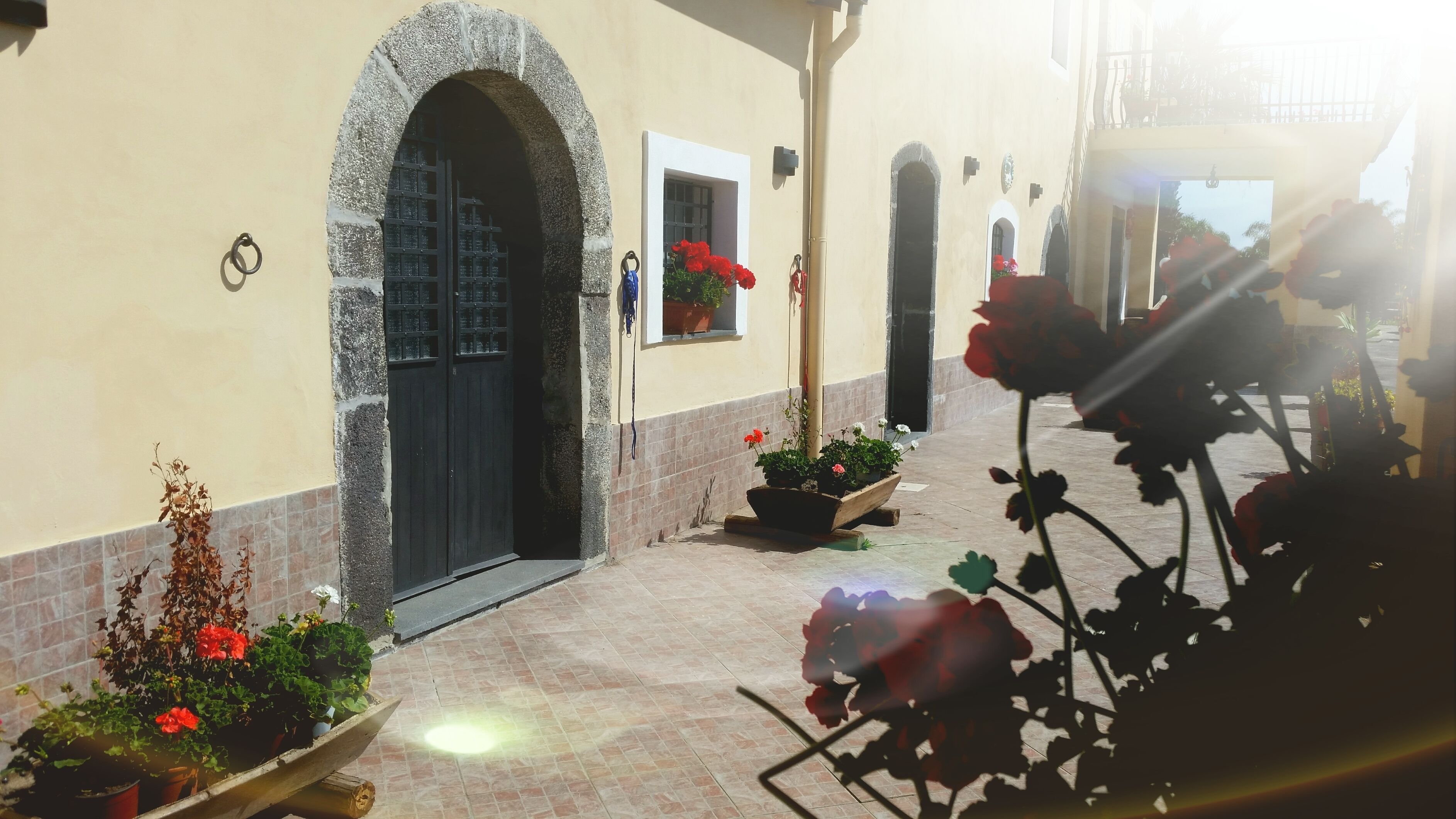 Villa Laura Apartment