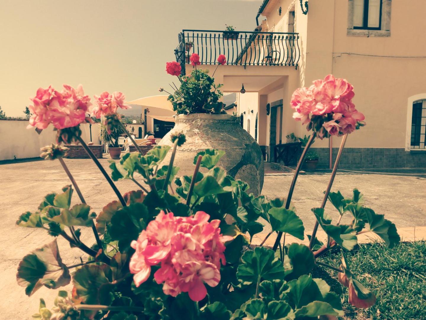 Villa Laura Apartment