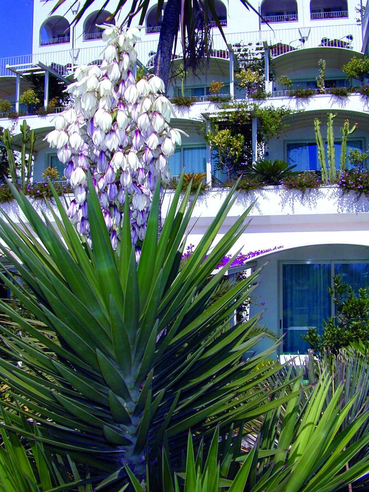 Hotel Le Terrazze