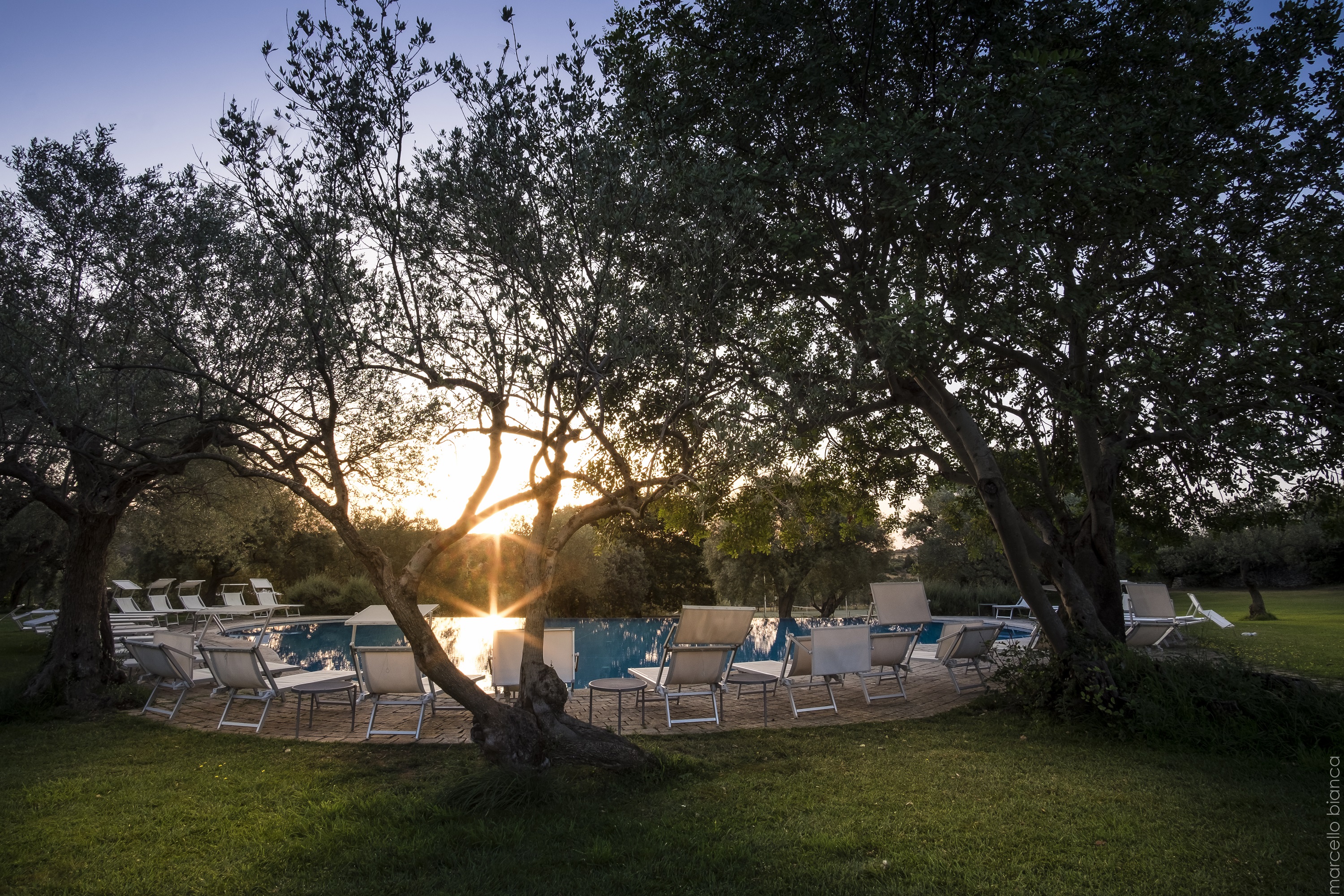 Masseria degli Ulivi