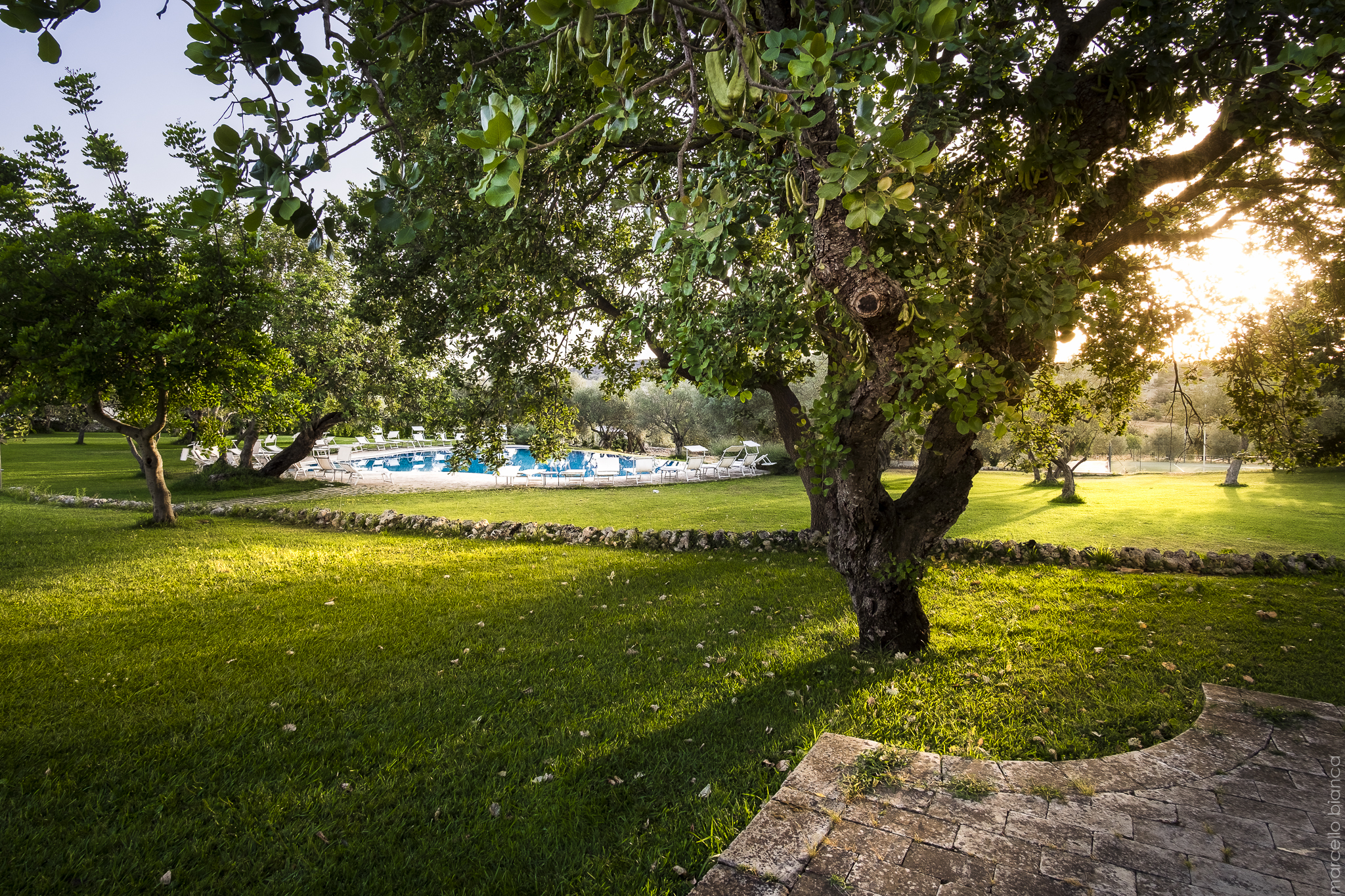 Masseria degli Ulivi