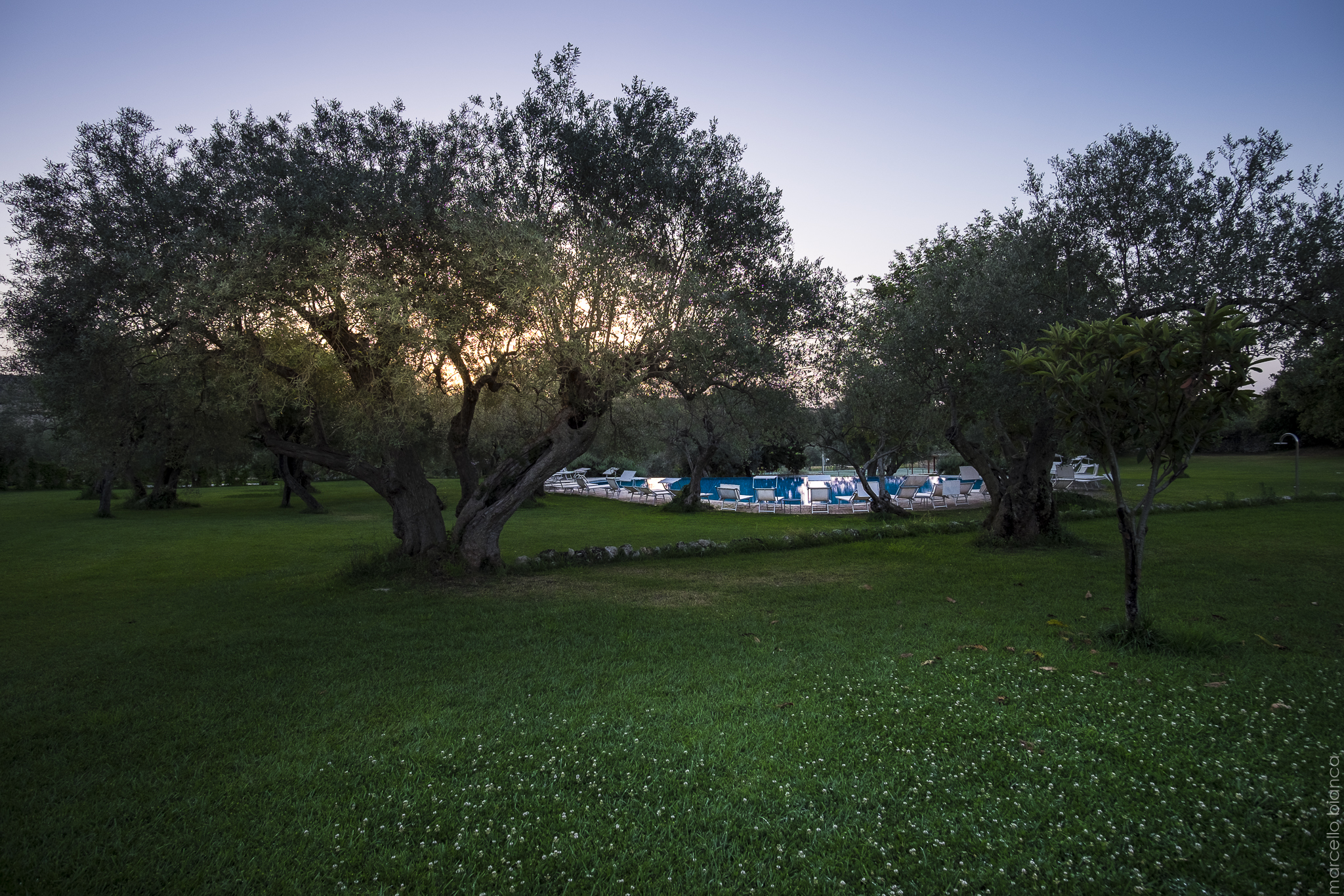 Masseria degli Ulivi