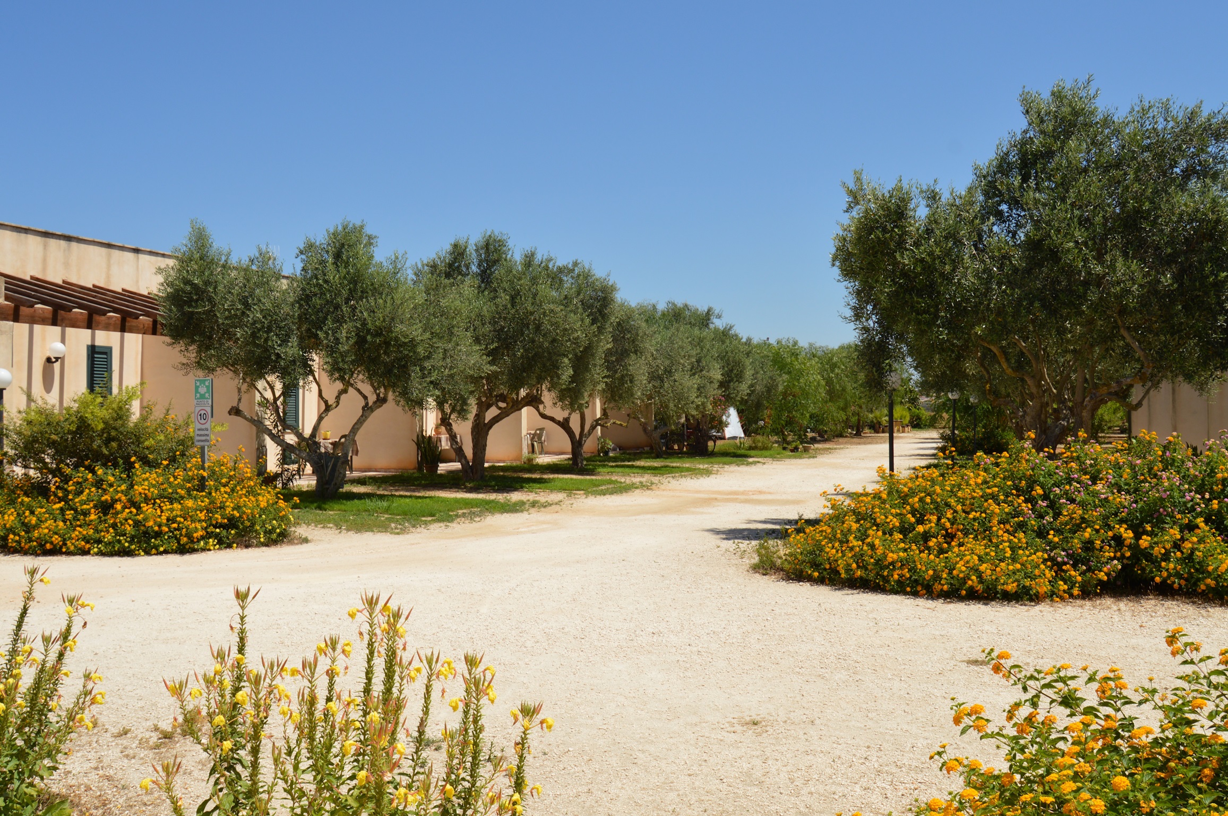 Camping Lilybeo Village