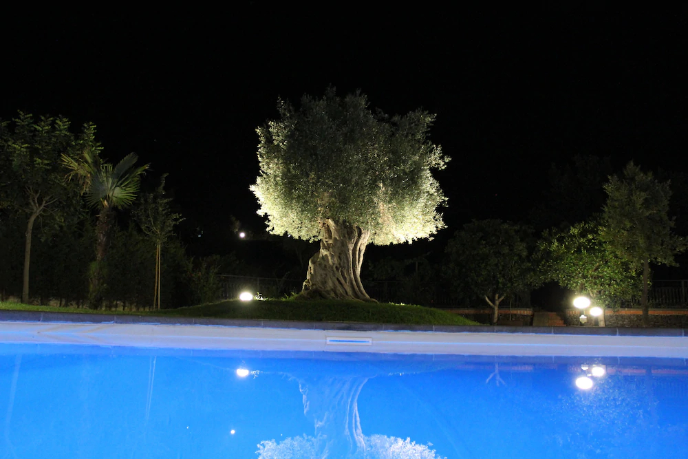 Blanc Maison Etna