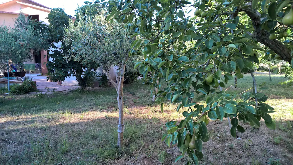 Casa Vacanza Summertime
