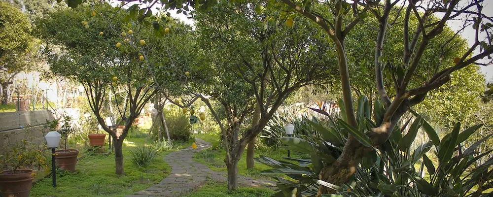 Le Stanze Di Villa Labruto