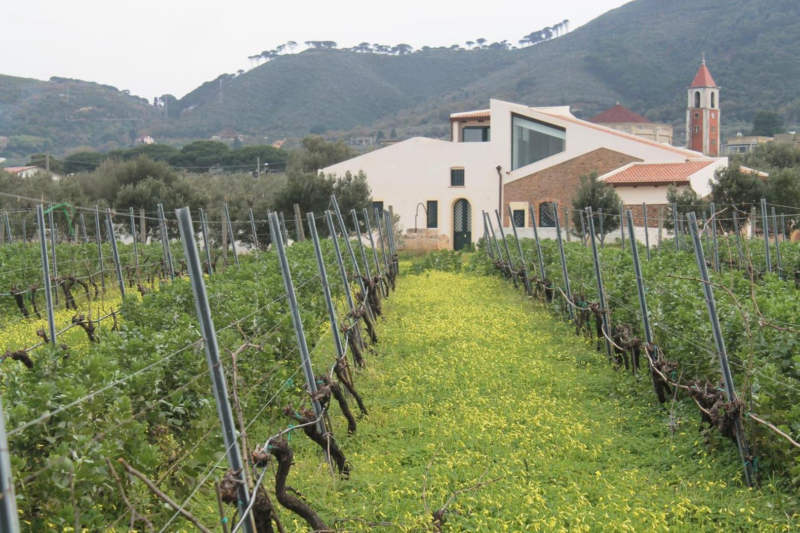 Tenuta Rasocolmo