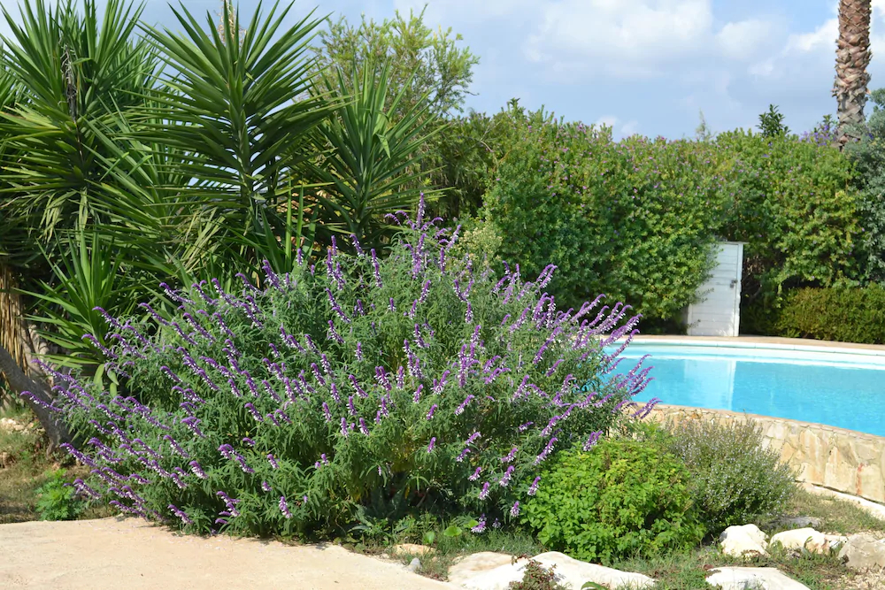 Antica Masseria Timparuci