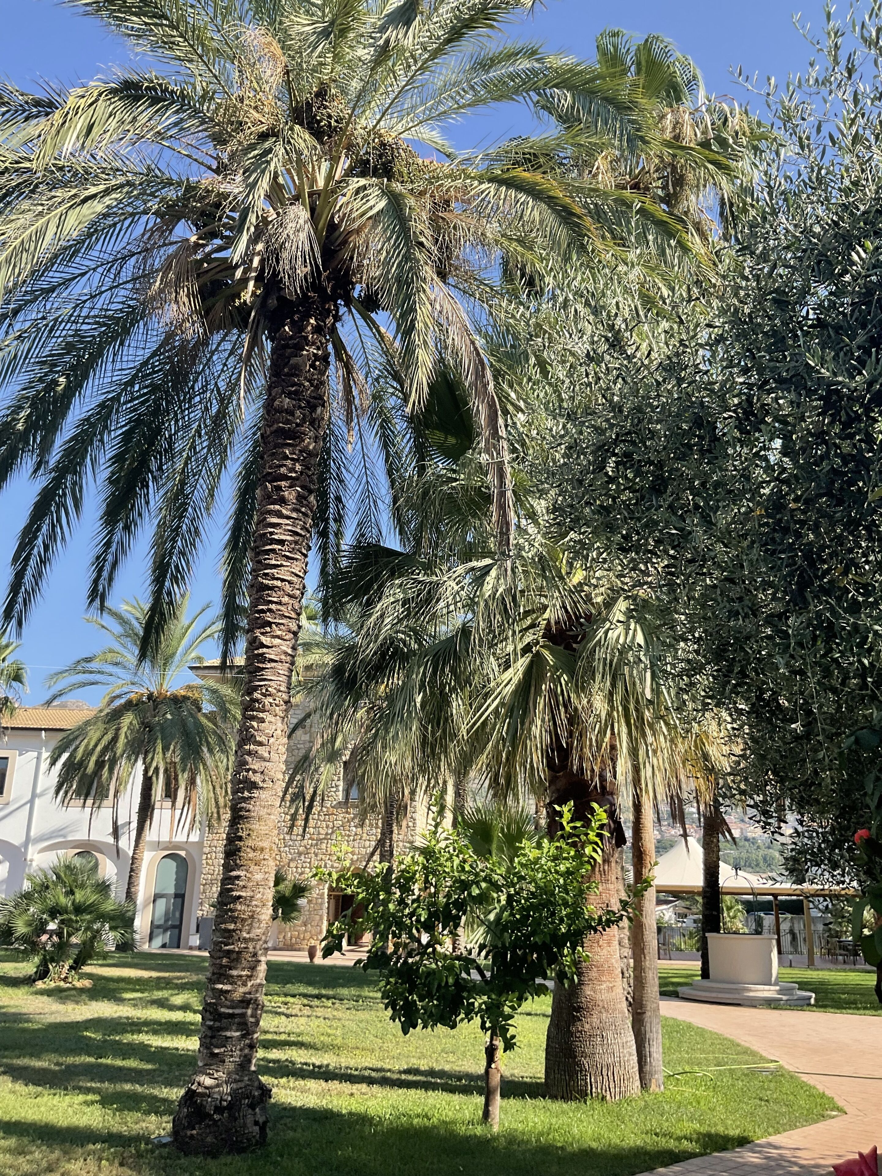 Al Balhara Resort