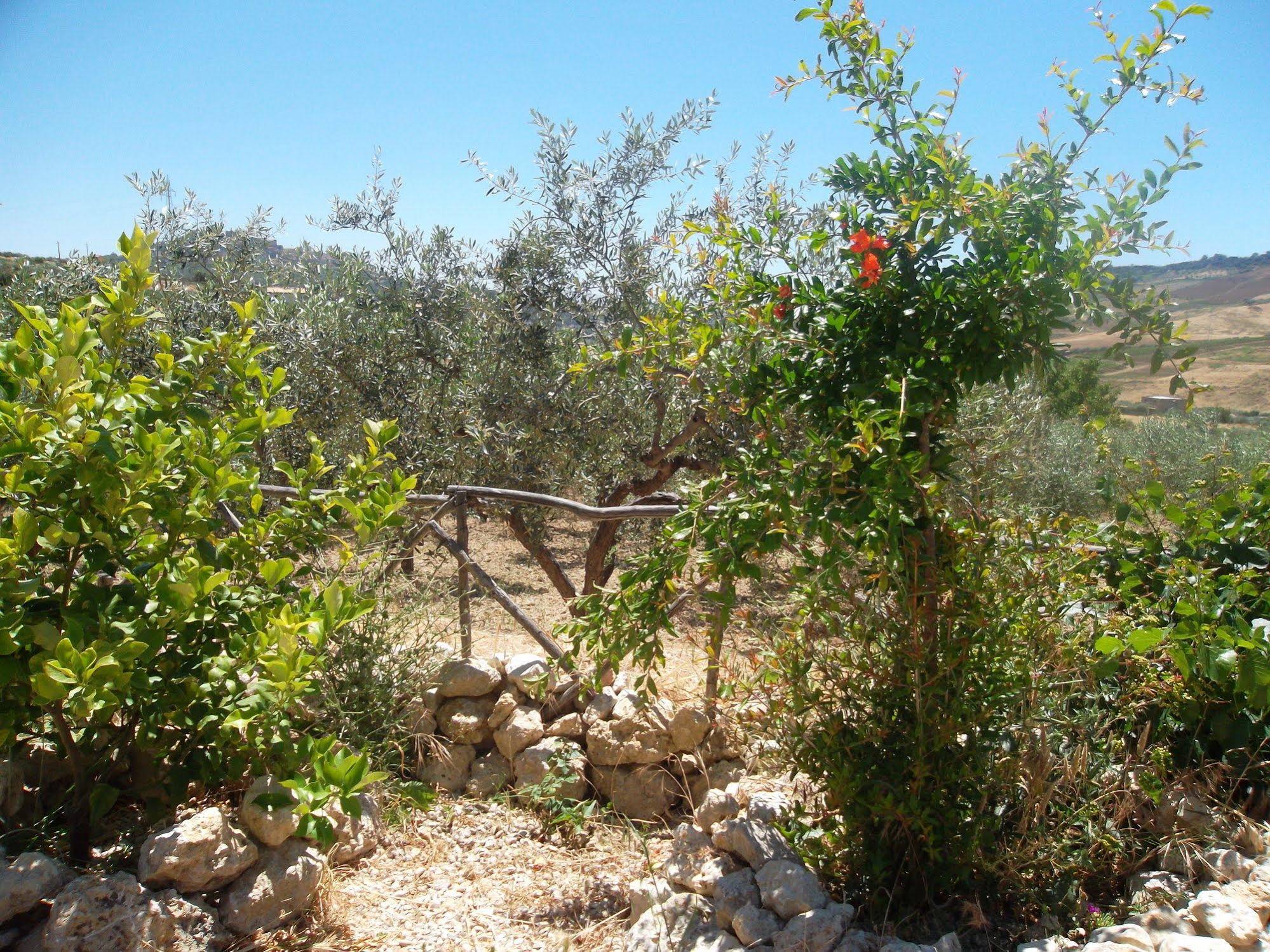 Agriturismo Due Ganeèe