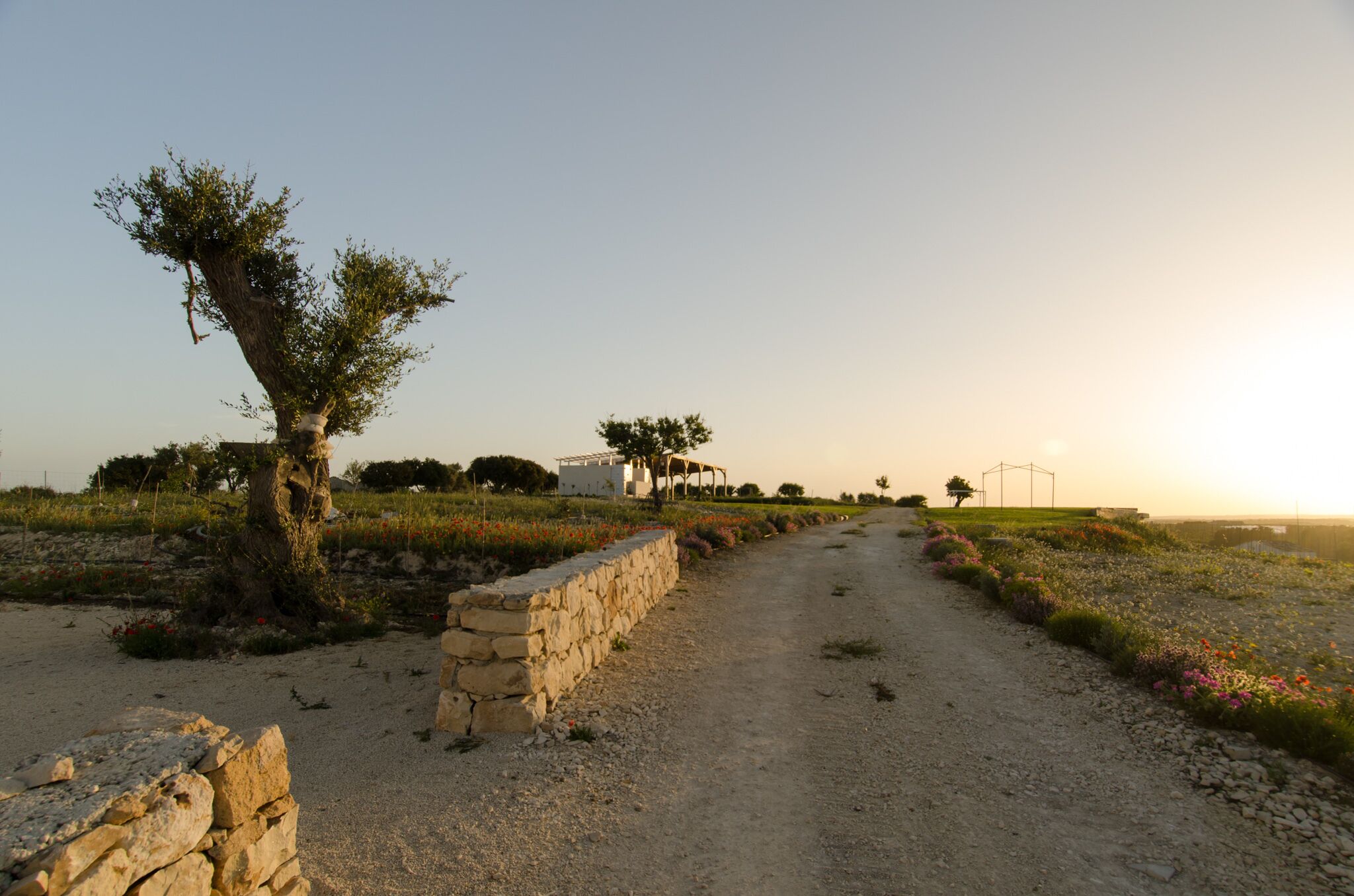Kapuhala Sicily