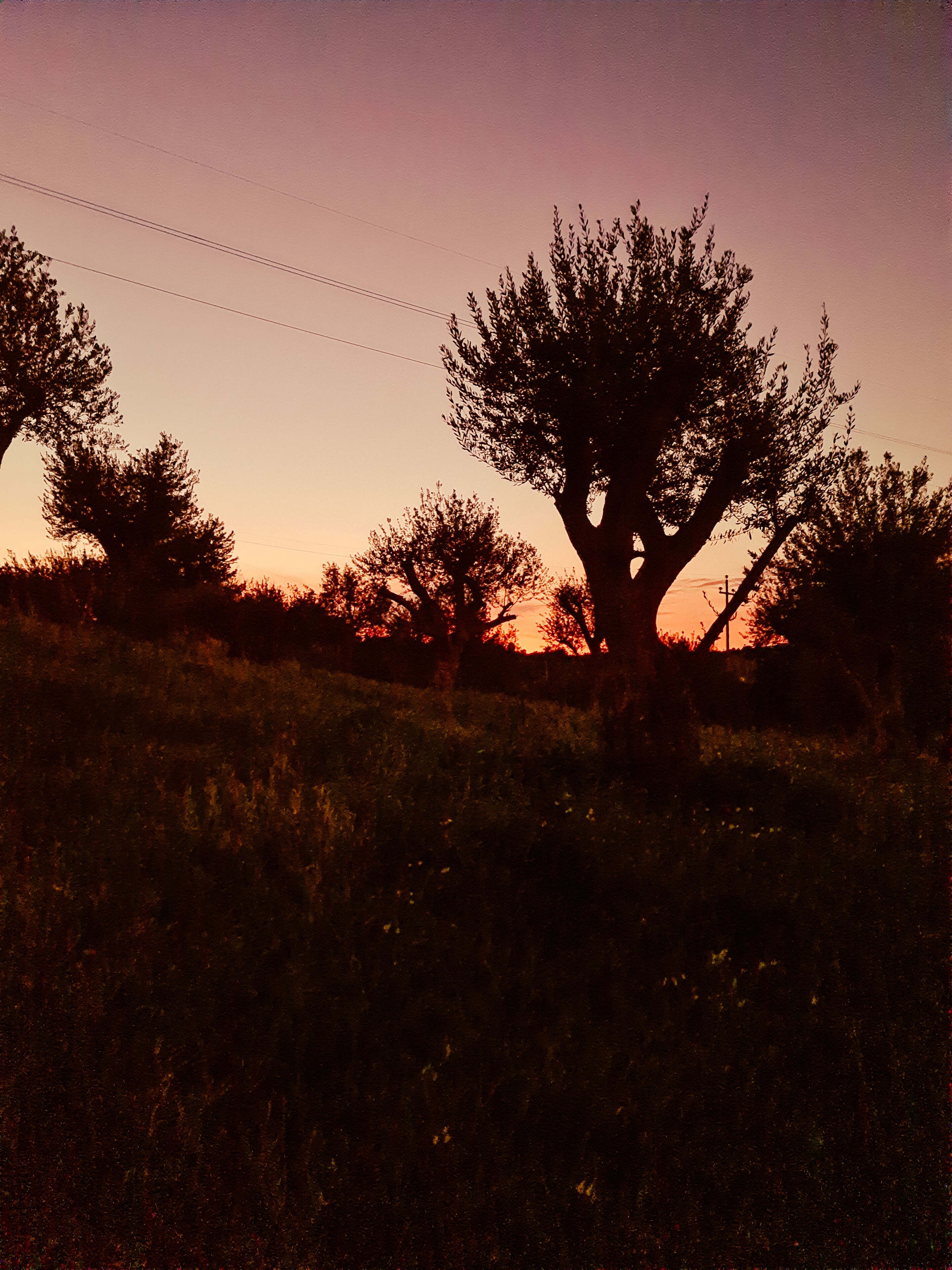 Terre Di Romanello Relais In Val Di Noto