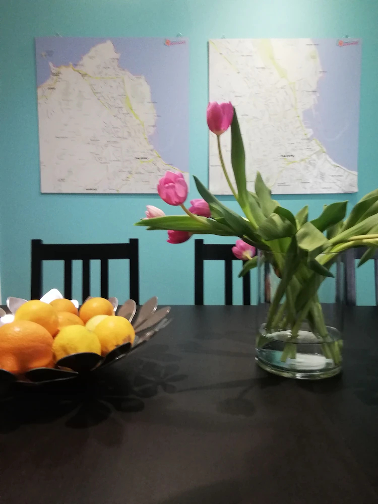 120 Rodionoff B&B Palermo