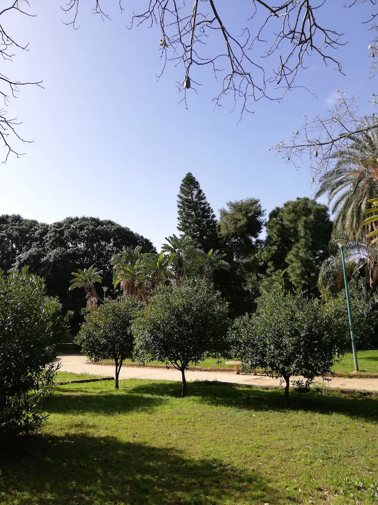 120 Rodionoff B&B Palermo