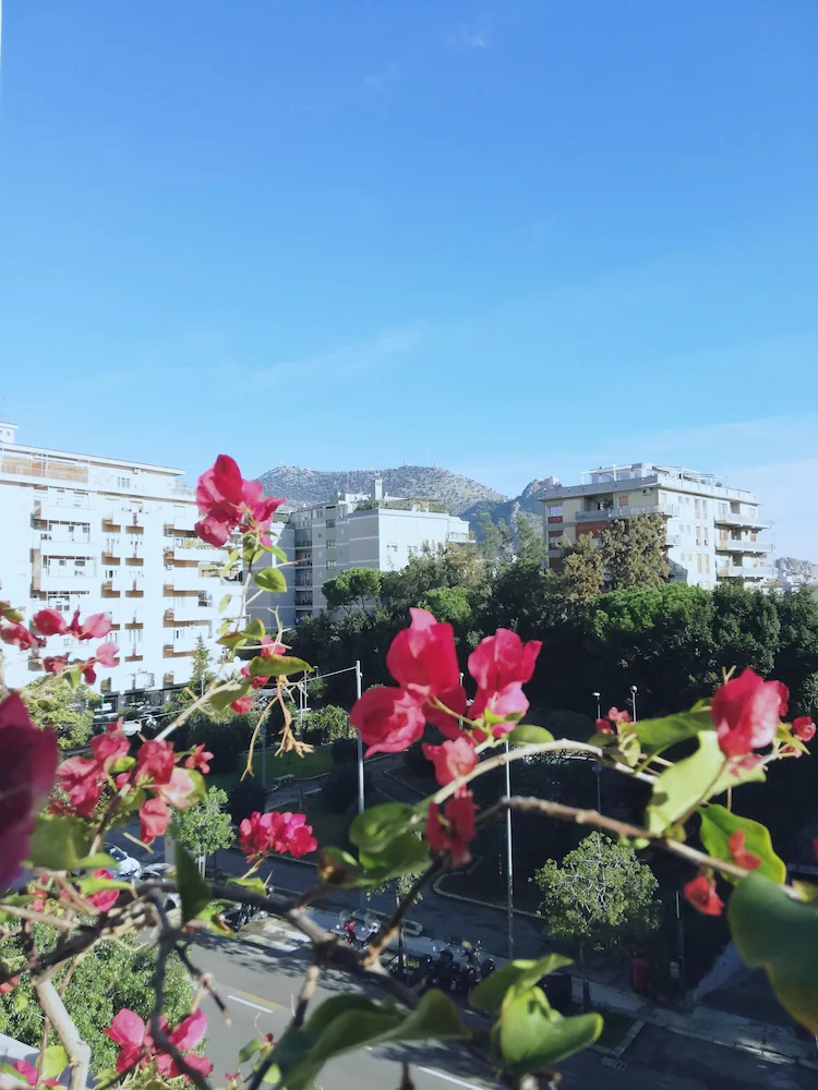 120 Rodionoff B&B Palermo