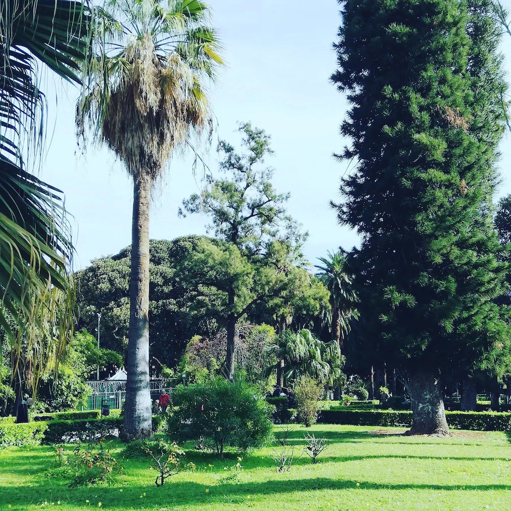 120 Rodionoff B&B Palermo