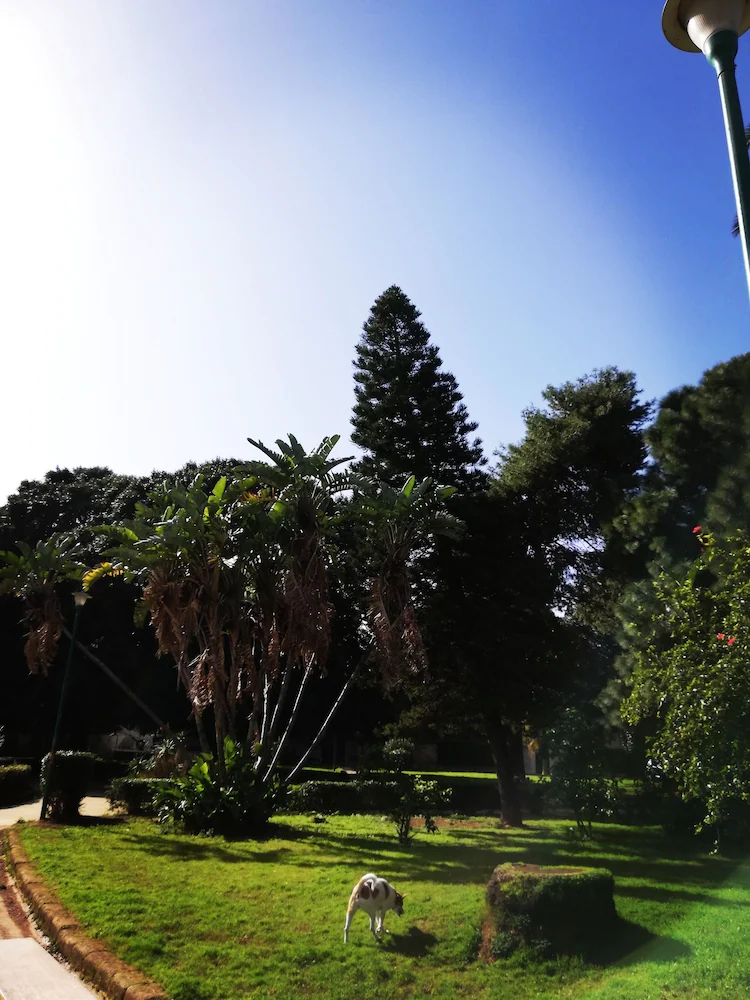 120 Rodionoff B&B Palermo
