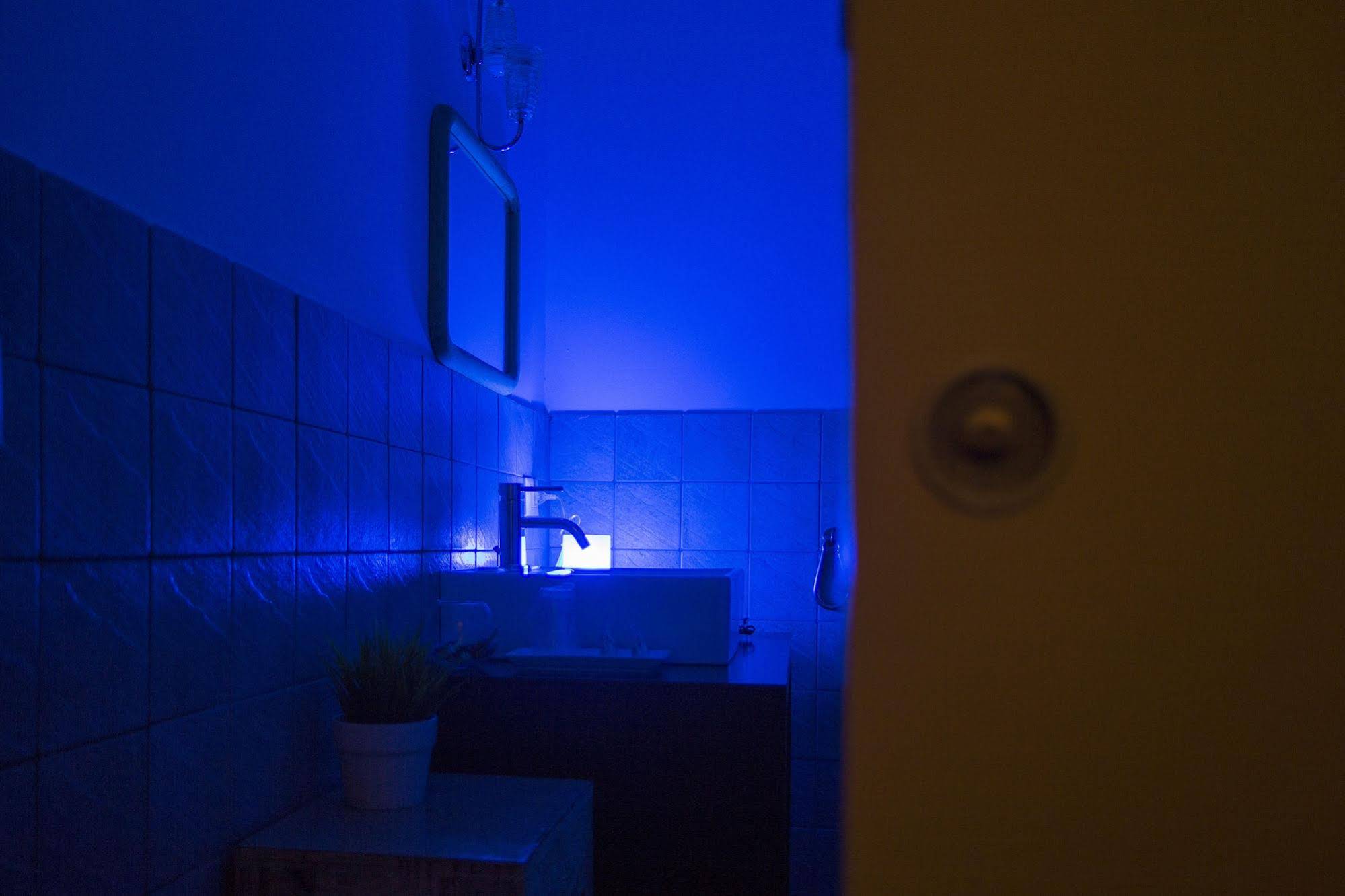 Aquarooms
