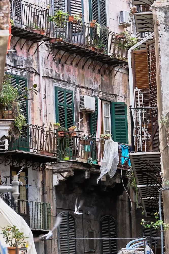 Casa Triskele