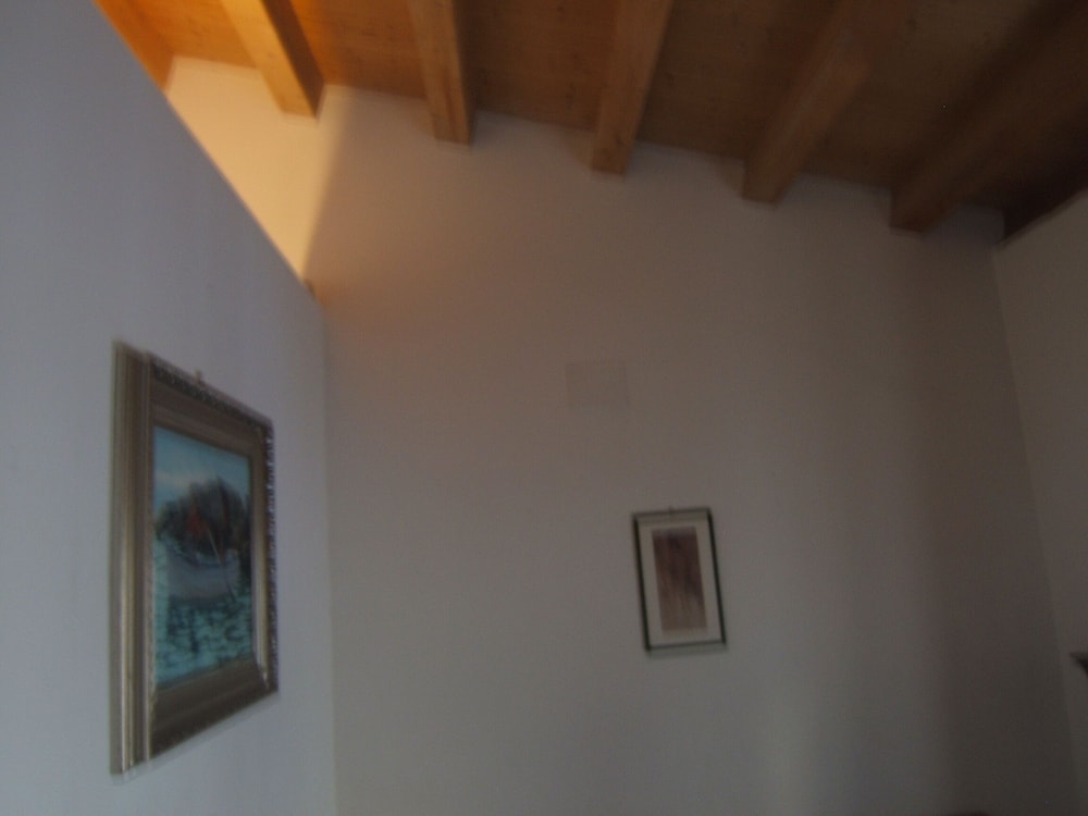 Olivella Suite