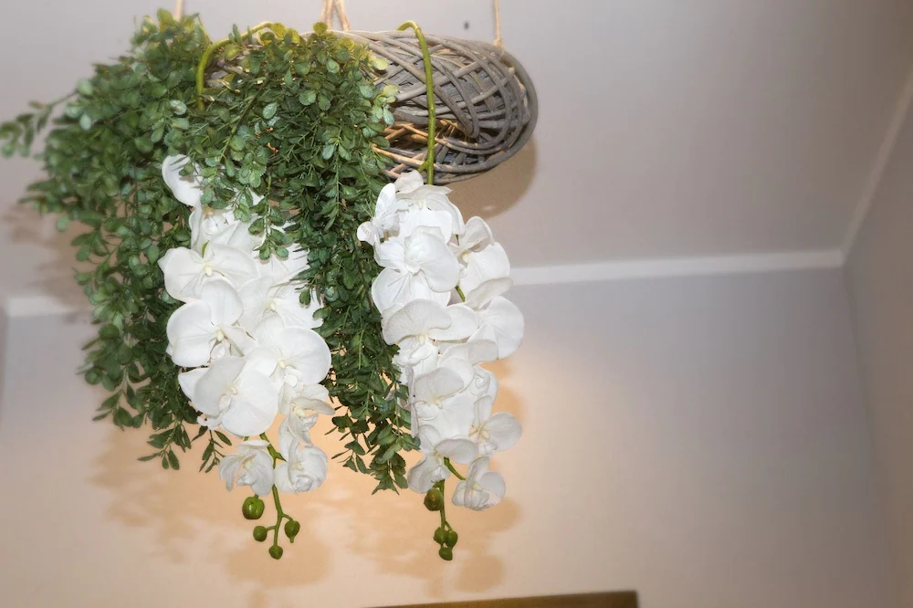 Reginella B&B Palermo