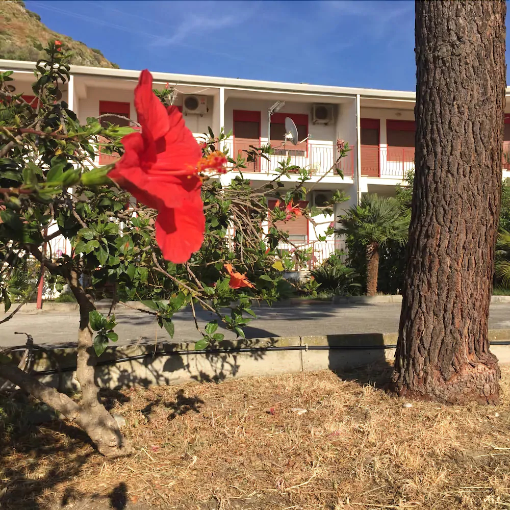 Bed & Breakfast Xenia