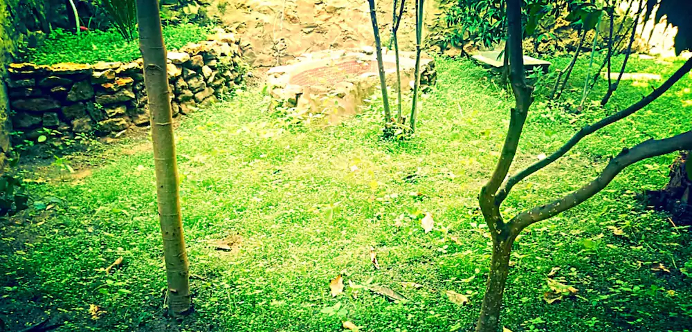 Casa Il Giardino Del Saraceno