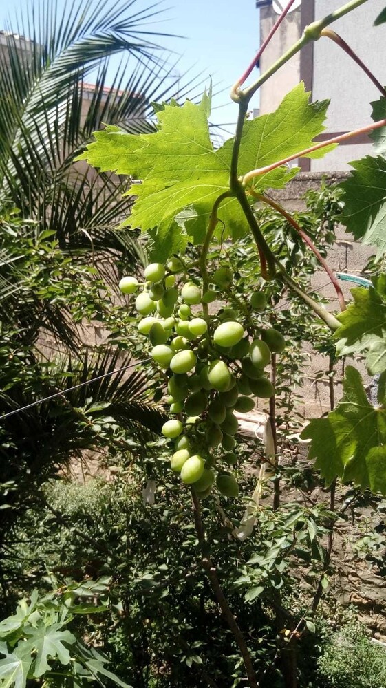 Casa Il Giardino Del Saraceno