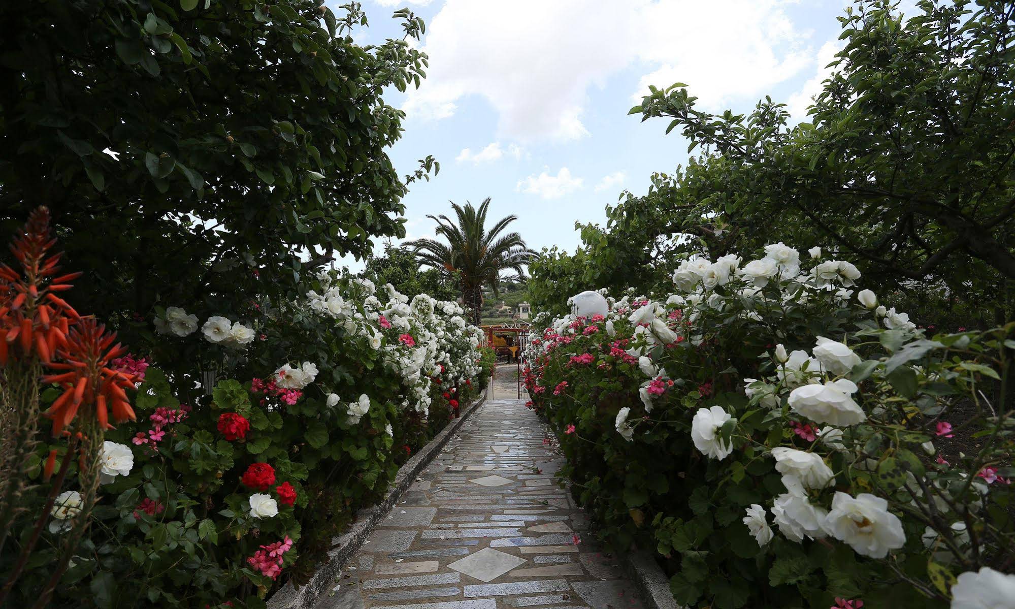 B&B Villa Paradiso