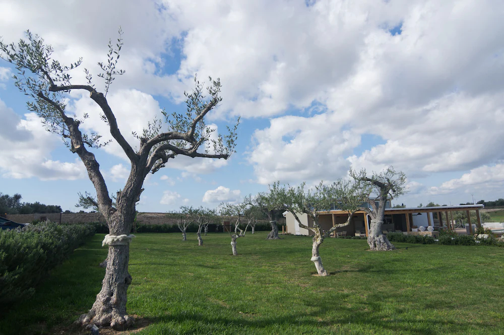 Agua Green Resort