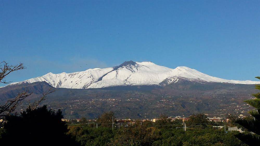 La Terra del Mezzo
