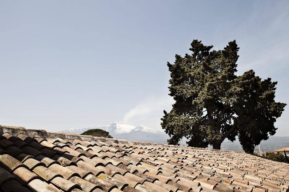 La Terra del Mezzo