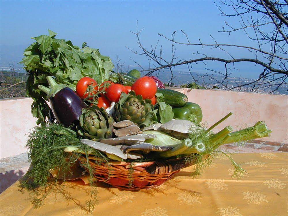 Agriturismo Il Ciliegio dell' Etna