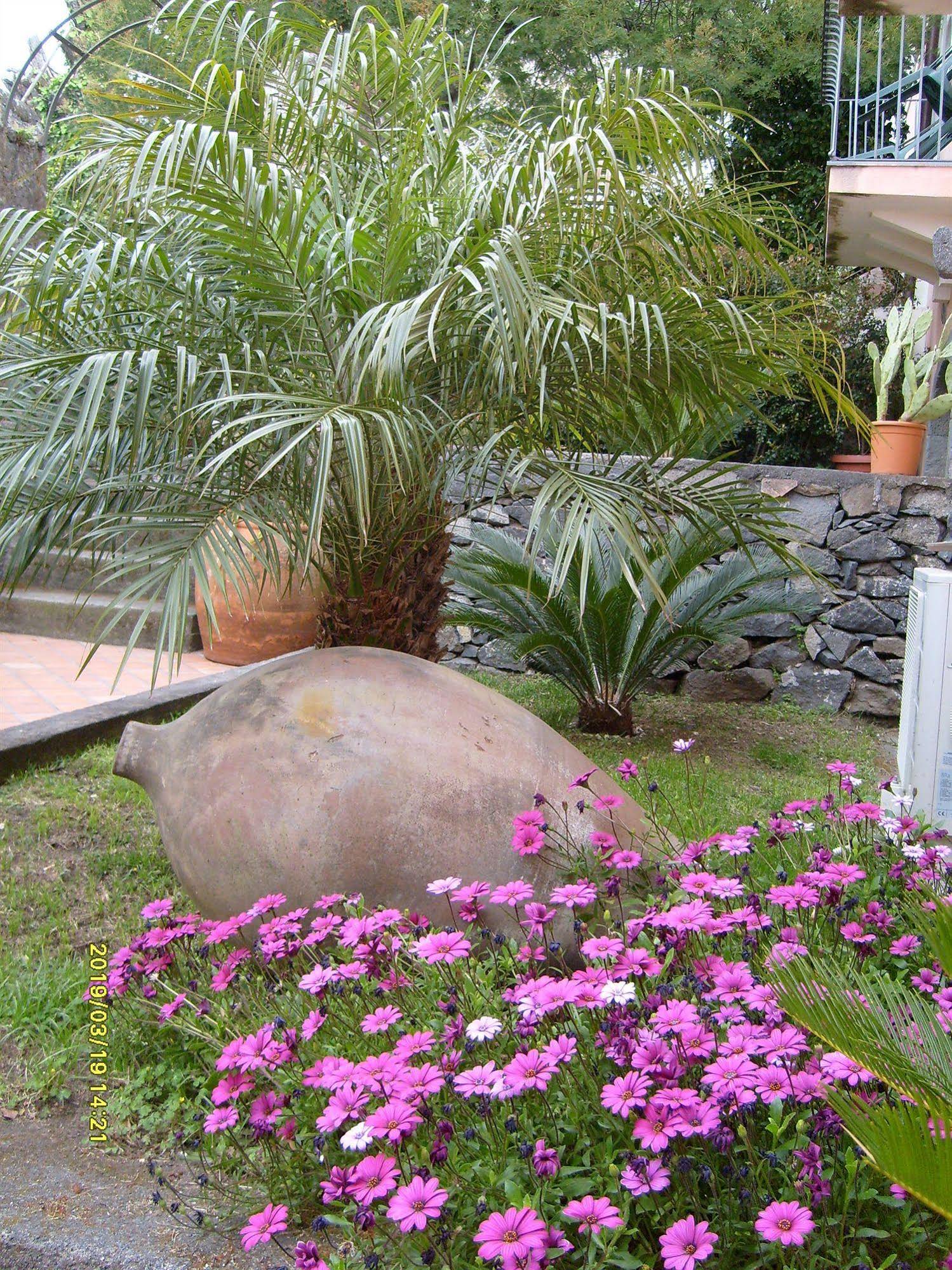 Agriturismo Il Ciliegio dell' Etna