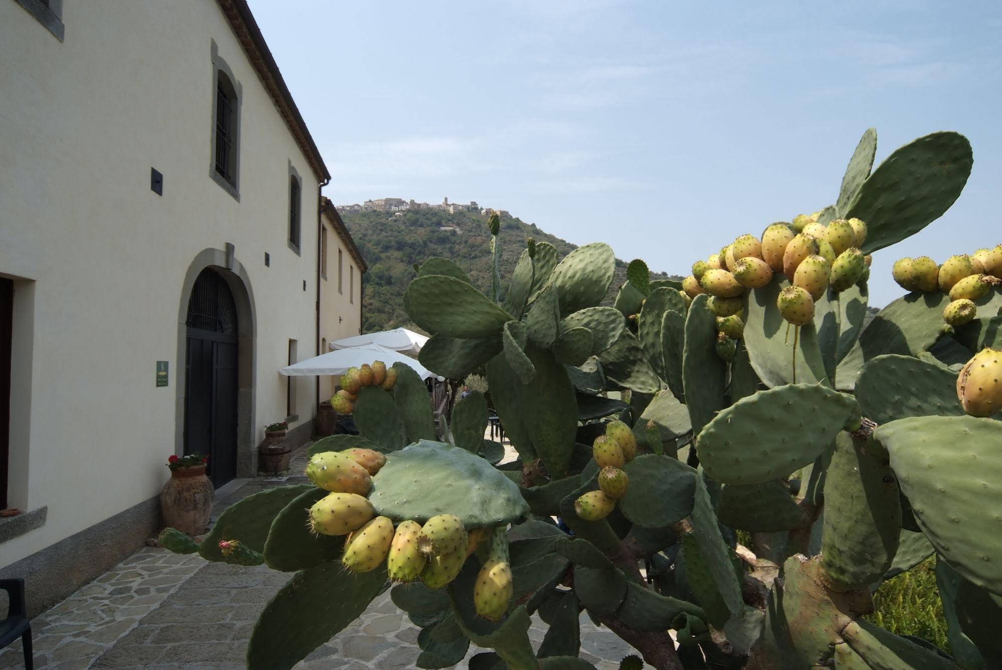 I Casali di Margello