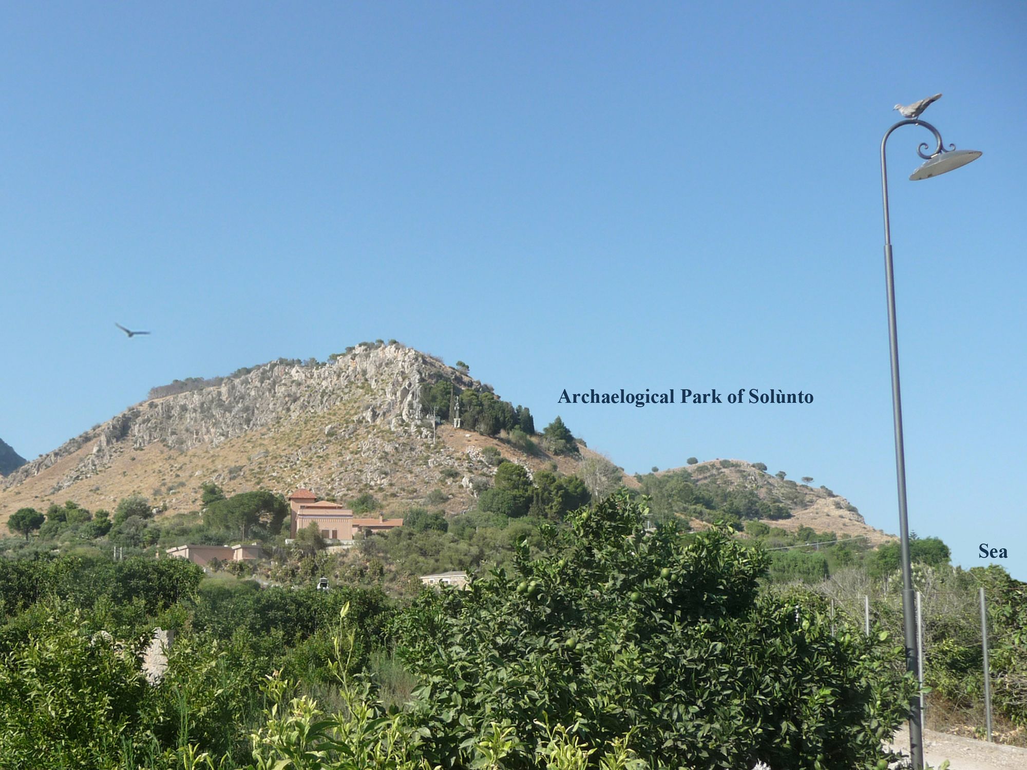 Villa Paladino Solunto