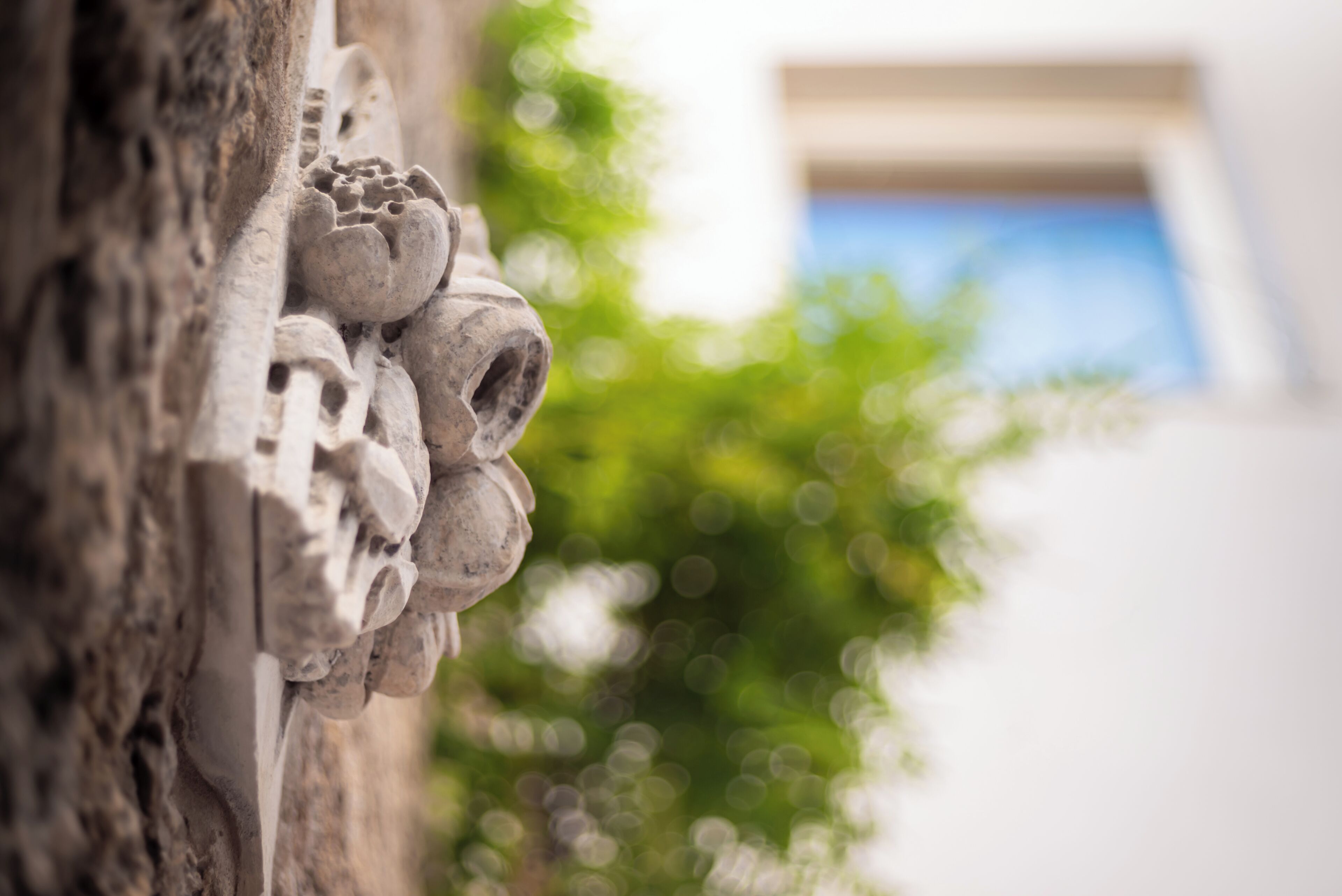 Fortaleza Charme House