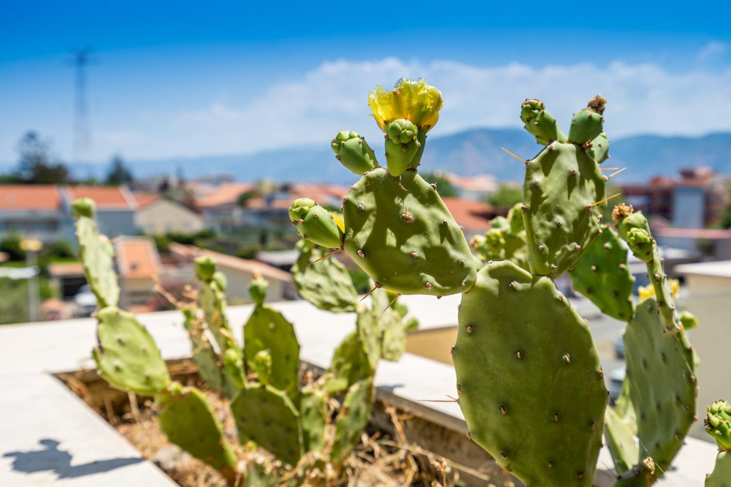 Capo Peloro Resort