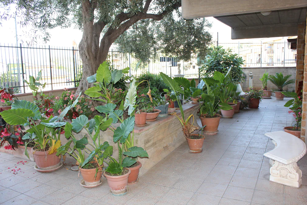 Bed And Breakfast Ulivo