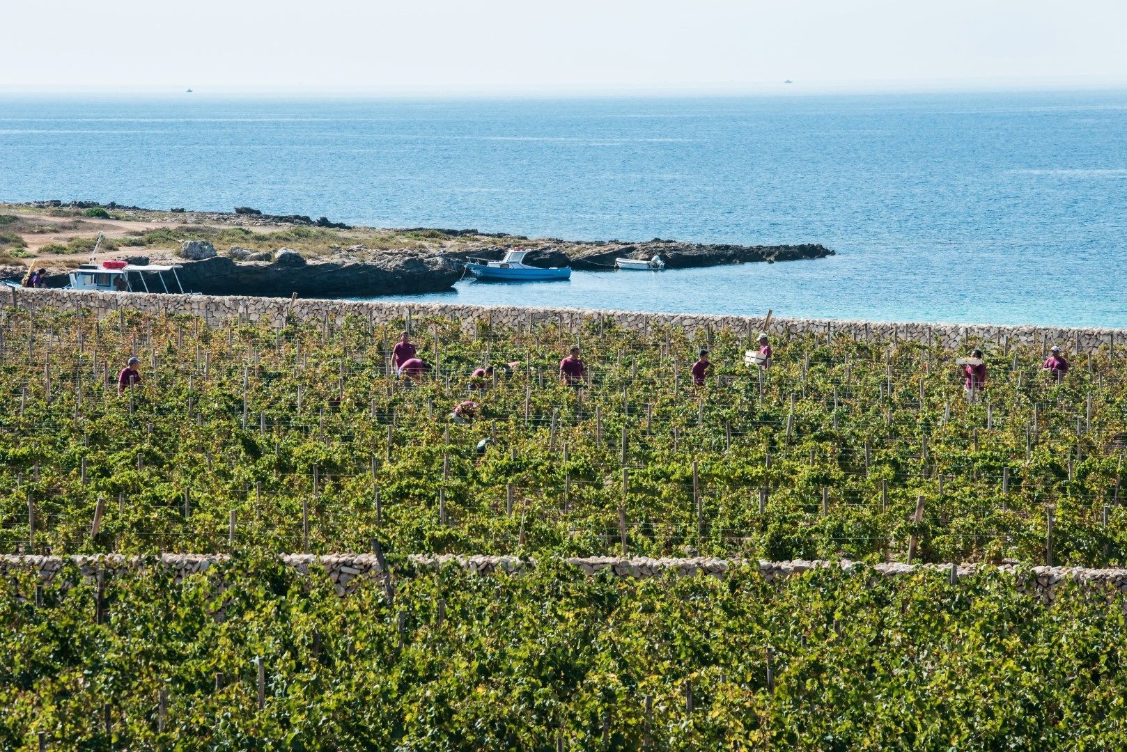 Firriato Hospitality - Calamoni di Favignana Apartments & Wine Experience