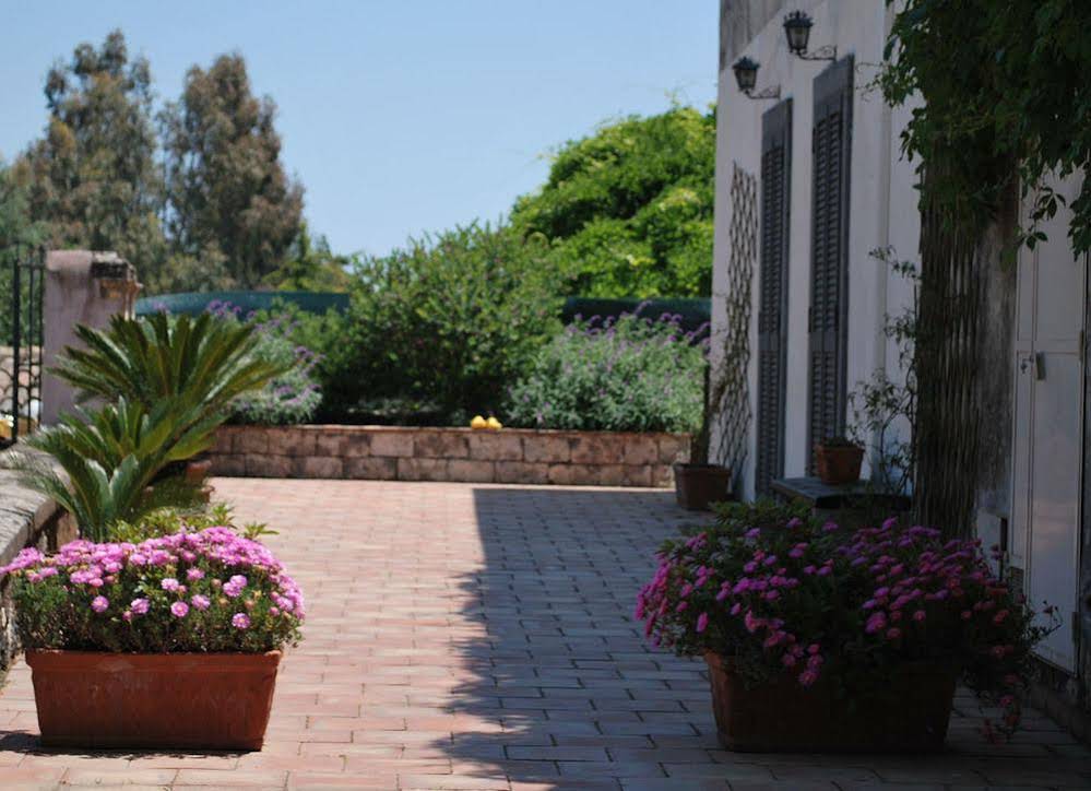 Case Zuccaro Bed & Breakfast