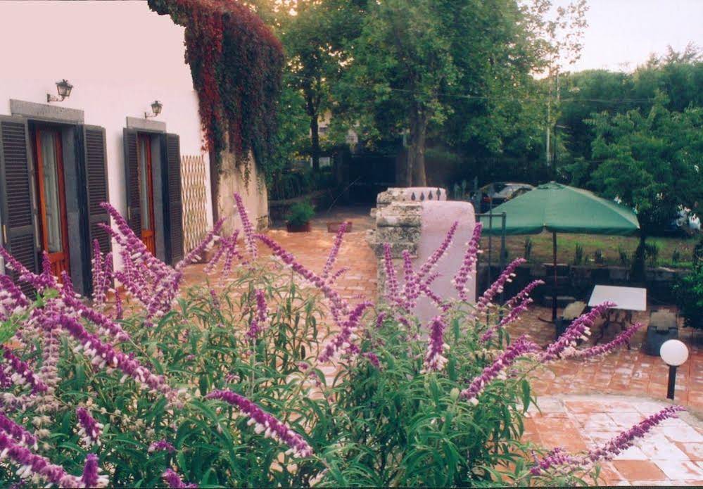 Case Zuccaro Bed & Breakfast