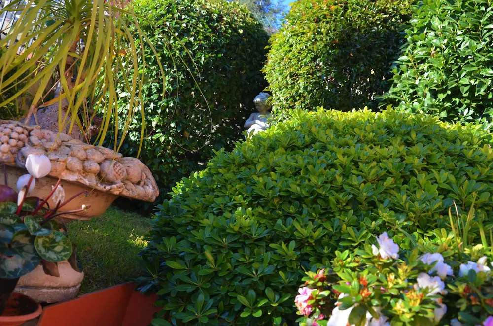 B&b Villa Hirschen